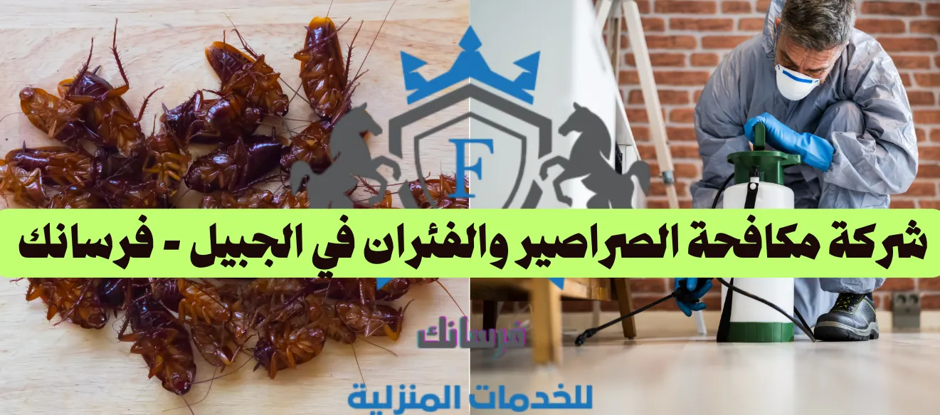 صورة توضيحية لخدمة مكافحة الصراصير والفئران التي تقدمها شركة فرسانك بالجبيل